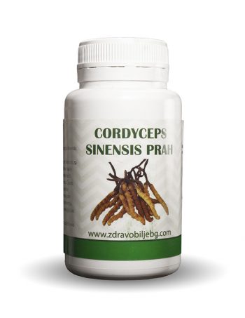 Cordyceps sinensis 100g, 50g
