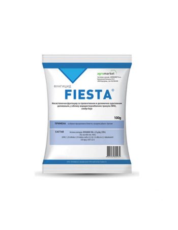 Fiesta