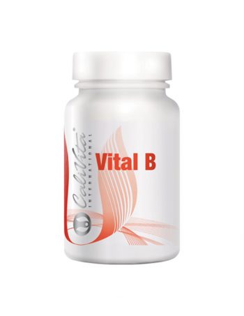 Vital-B-Multivitamin-prema-krvnim-grupama-B